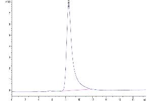 The purity of Mouse SG3 is greater than 95 % as determined by SEC-HPLC.