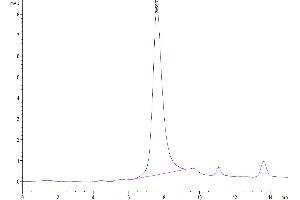 Size-exclusion chromatography-High Pressure Liquid Chromatography (SEC-HPLC) image for Apolipoprotein E3 (ApoE3) (AA 19-317) protein (His tag,Biotin) (ABIN7273866)