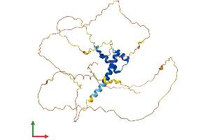 AlphaFold protein structure predicition of Mouse Recombinant Nkx2-1 Protein, UniprotID P50220 (NKX2-1 Protein (AA 1-372) (His tag))