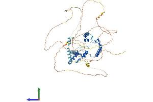 AlphaFold protein structure predicition of Human Recombinant PHACTR2 Protein, UniprotID O75167