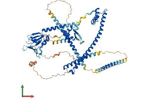 Protein Structure (PS) image for Ecto-NOX Disulfide-Thiol Exchanger 2 (ENOX2) (AA 1-598) protein (His tag) (ABIN7564687)