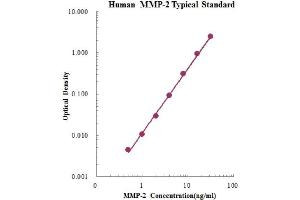 ELISA image for Matrix Metalloproteinase 2 (MMP2) ELISA Kit (ABIN2681242)