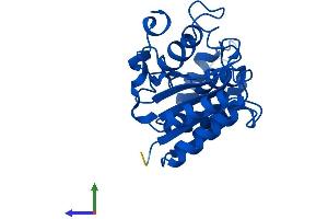 Protein Structure (PS) image for NQO2 (NQO2) (AA 1-231) protein (His tag) (ABIN7549935)