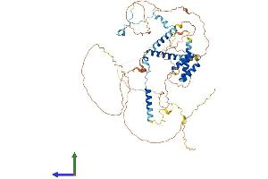 AlphaFold protein structure predicition of Human Recombinant SPATA7 Protein, UniprotID Q9P0W8