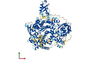 AlphaFold protein structure predicition of Mouse Recombinant Pik3cd Protein, UniprotID O35904 (PIK3CD Protein (AA 1-1043) (His tag))