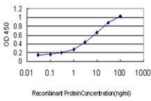 Detection limit for recombinant GST tagged PTK2B is approximately 0. (PTK2B antibody  (AA 682-871))