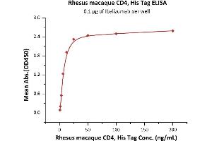 Immobilized Ibalizumab at 1 μg/mL (100 μL/well) can bind Rhesus macaque CD4, His Tag (ABIN2180787,ABIN2180786) with a linear range of 0. (CD4 Protein (CD4) (AA 26-390) (His tag))