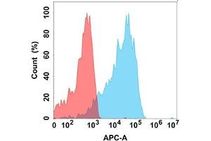 Flow cytometry analysis with Anti-IL21R on Expi293 cells transfected with human IL21R (Blue histogram) or Expi293 transfected with irrelevant protein (Red histogram). (IL21 Receptor antibody)