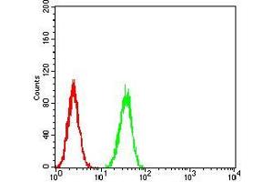 Flow cytometric analysis of A549 cells using LGR5 mouse mAb (green) and negative control (red). (LGR5 antibody  (AA 22-178))