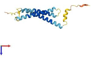 AlphaFold protein structure predicition of Human Recombinant OR13C6P Protein, UniprotID Q8NH95 (OR13C6P Protein (AA 1-151) (His tag))