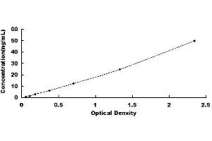 Typical standard curve (ATG5 ELISA Kit)