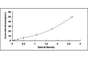 Typical standard curve (Endoglin ELISA Kit)