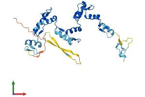 AlphaFold protein structure predicition of Human Recombinant ZNF771 Protein, UniprotID Q7L3S4 (ZNF771 Protein (AA 1-317) (His tag))