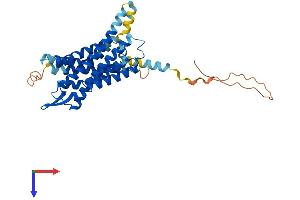 AlphaFold protein structure predicition of Human Recombinant GALR3 Protein, UniprotID O60755 (GALR3 Protein (AA 1-368) (His tag))