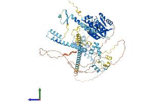 AlphaFold protein structure predicition of Mouse Recombinant Ftsj3 Protein, UniprotID Q9DBE9