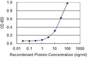 Detection limit for recombinant GST tagged ZNF180 is 0. (ZNF180 antibody  (AA 176-285))