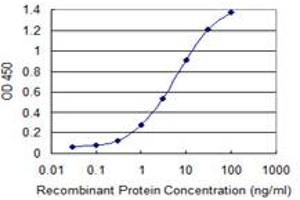 Detection limit for recombinant GST tagged FLJ23834 is 0. (CDHR3 antibody  (AA 776-885))