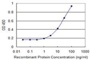 Detection limit for recombinant GST tagged PDGFD is 0. (PDGFD antibody  (AA 24-123))