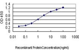 Detection limit for recombinant GST tagged DFNB31 is approximately 0. (DFNB31 antibody  (AA 808-907))