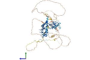Protein Structure (PS) image for Nibrin (NBN) (AA 1-754) protein (His tag) (ABIN7554690)