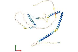 AlphaFold protein structure predicition of Mouse Recombinant Hexim2 Protein, UniprotID Q3TVI4 (HEXIM2 Protein (AA 1-313) (His tag))