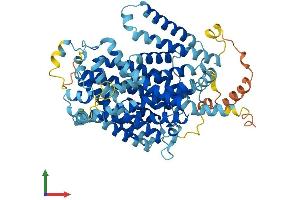 AlphaFold protein structure predicition of Human Recombinant SLC7A1 Protein, UniprotID P30825