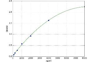 Presenilin 1 (PSEN1) ELISA Kit