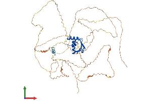 Protein Structure (PS) image for E74-Like Factor 2 (Ets Domain Transcription Factor) (ELF2) (AA 1-593) protein (His tag) (ABIN7561495)