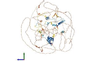 AlphaFold protein structure predicition of Mouse Recombinant Atxn2l Protein, UniprotID Q7TQH0