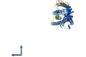 Protein Structure (PS) image for Purinergic Receptor P2Y, G-Protein Coupled, 13 (P2RY13) (AA 1-337) protein (His tag) (ABIN7561122)