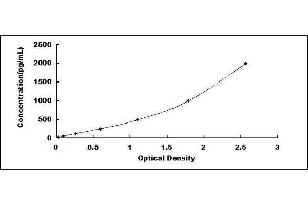 TIM3 ELISA Kit