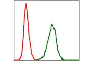 Flow cytometric analysis of NIH/3T3 cells using SERPINE1 monoclonal antobody, clone 1D5  (green) and negative control (red). (PAI1 antibody)