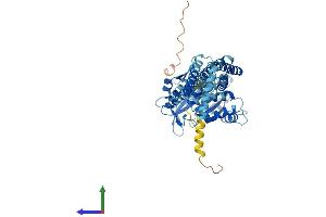 AlphaFold protein structure predicition of Mouse Recombinant Atl3 Protein, UniprotID Q91YH5