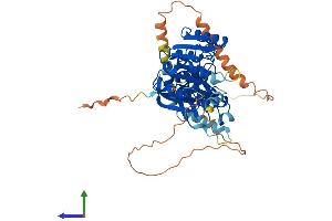 AlphaFold protein structure predicition of Human Recombinant THUMPD2 Protein, UniprotID Q9BTF0 (THUMPD2 Protein (AA 1-503) (His tag))