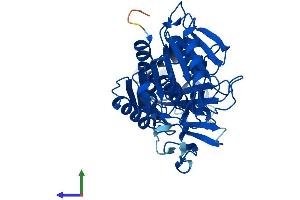 Protein Structure (PS) image for Acyl-Coenzyme A Amino Acid N-Acyltransferase 1 (ACNAT1) (AA 1-416) protein (His tag) (ABIN7561930)