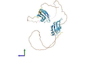 AlphaFold protein structure predicition of Human Recombinant HNRNPH3 Protein, UniprotID P31942