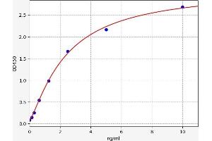WNT2 ELISA Kit