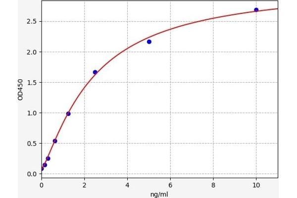 WNT2 ELISA Kit