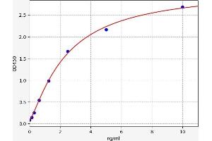 Typical standard curve (WNT2 ELISA Kit)