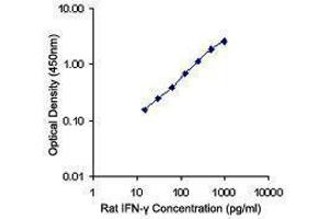 ELISA image for anti-Interferon gamma (IFNG) antibody (ABIN2665079) (Interferon gamma antibody)