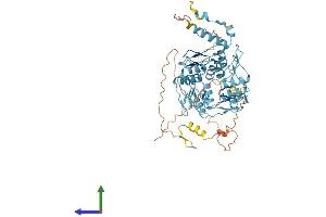 Protein Structure (PS) image for Zinc Finger Protein 57 (ZFP57) (AA 1-555) protein (His tag) (ABIN7545365)