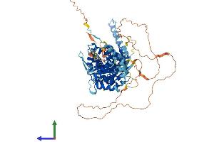 AlphaFold protein structure predicition of Mouse Recombinant Bbs10 Protein, UniprotID Q9DBI2 (BBS10 Protein (AA 1-713) (His tag))