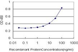 Detection limit for recombinant GST tagged FOXD1 is approximately 1ng/ml as a capture antibody. (FOXD1 antibody  (AA 1-91))