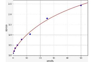 Typical standard curve (Pro-C-Type Natriuretic Peptide (NT-ProCNP) ELISA Kit)