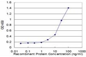 Detection limit for recombinant GST tagged KRT8 is approximately 1ng/ml as a capture antibody. (KRT8 antibody  (AA 91-195))