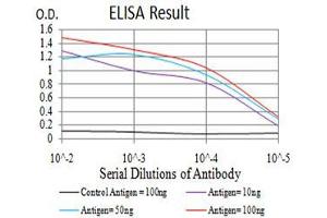 Black line: Control Antigen (100 ng),Purple line: Antigen (10 ng), Blue line: Antigen (50 ng), Red line:Antigen (100 ng) (MAP2K3 antibody  (AA 1-138))