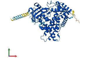 Protein Structure (PS) image for Cytochrome P450, Family 2, Subfamily S, Polypeptide 1 (CYP2S1) (AA 1-504) protein (His tag) (ABIN7546735)