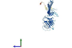 Protein Structure (PS) image for Tripartite Motif Containing 69 (TRIM69) (AA 1-500) protein (His tag) (ABIN7544804)
