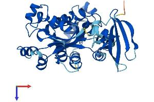 NME7 Protein (AA 1-376) (His tag)
