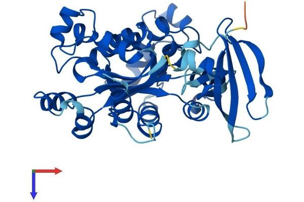 NME7 Protein (AA 1-376) (His tag)